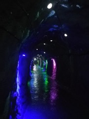 2720315