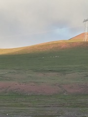 2450769
