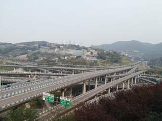 2667207