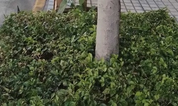95499