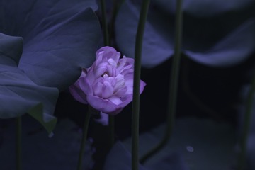 A540958A-53CB-4A8F-A8B4-4D3137573022/L0/001