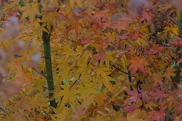 21703A78-3B40-4CCF-B1A3-9BF1D80A2807/L0/001