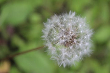 20B7C61B-35ED-4133-BA73-1856EA1FE28F/L0/001