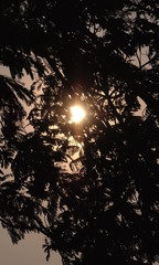 08E52D99-81CD-445F-AD18-EA9667363AE4/L0/001