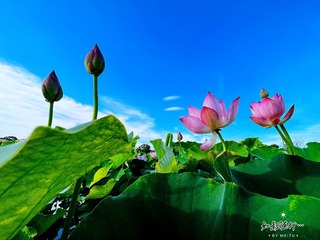 87A55F99-54F0-4CF4-9560-680CB2EC3075/L0/001