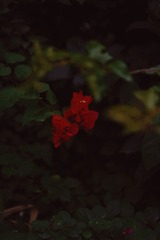194F05AF-B0F0-472A-8659-BCC4009ADFBF/L0/001