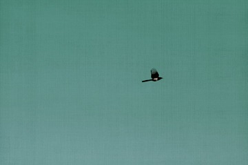 8736C012-F8A6-47C1-B98A-0D78E4A0EB19/L0/001