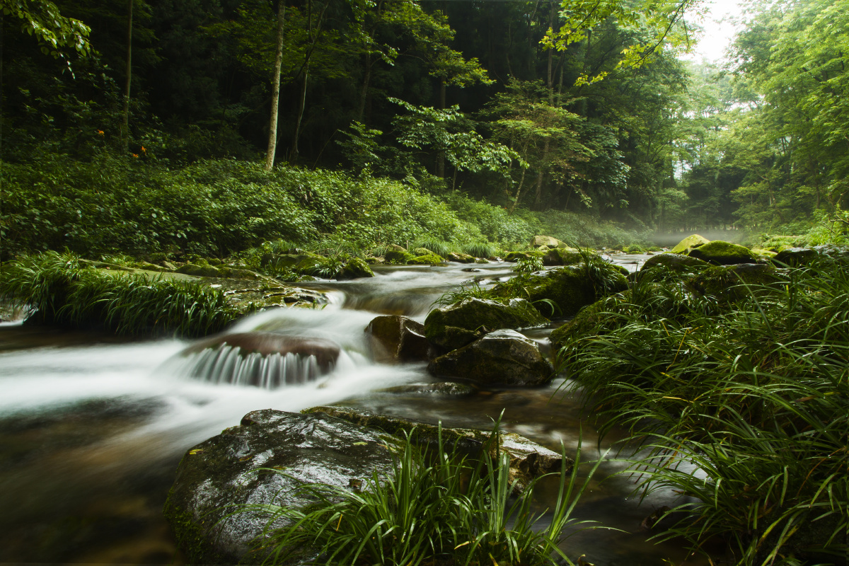张家界的山与水
