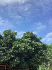 EF3A9E63-B207-4A78-A077-B40A95210907/L0/001