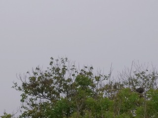1730624