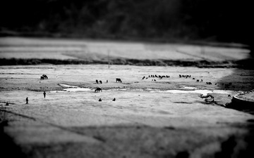 DSC_0334黑白