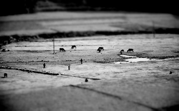 DSC_0339黑白