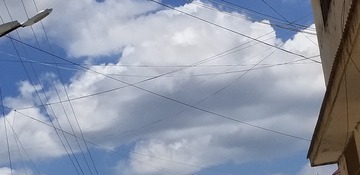 283131