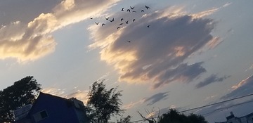 282972