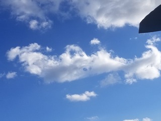 45425