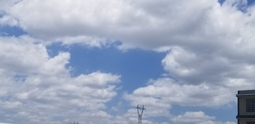 283118