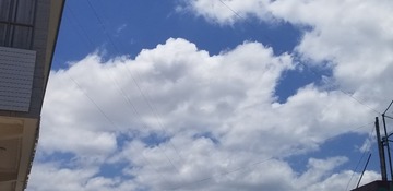 283124