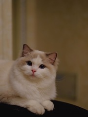 1642