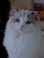 2573