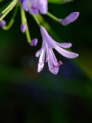 10305