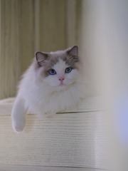 35730