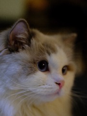 71975