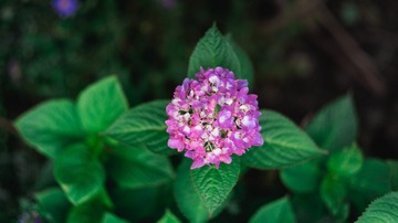 7E9B9342-B6A4-46CC-A726-C61D20FA0247/L0/001
