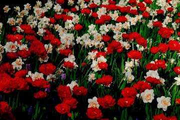7678E5E6-B540-4EEF-BD76-3C748910437F/L0/001