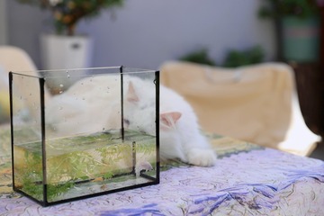 34440