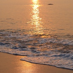 AFF0B255-F36B-45F2-96EA-36FD39A13C5F/L0/001