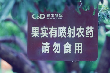 8FA29663-6D72-48CB-AB56-58A9E560A824/L0/001