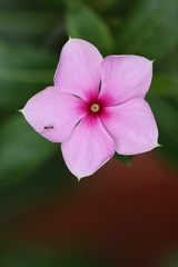 F7B81AC1-51E9-4DD1-941D-E0A788150969/L0/001