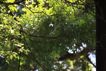 7686817E-A9F1-456F-9ACA-15EBAE10AE0E/L0/001