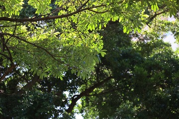 D407282B-A321-435B-A6F0-ED5215EA6DA3/L0/001