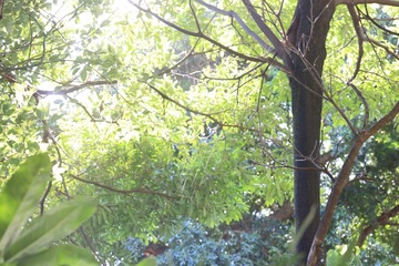 E4D8F248-8734-4742-A062-F301CBE69642/L0/001
