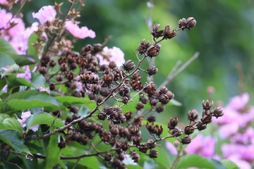 82620F9C-0E3D-4B47-B494-DF52F2D1BC28/L0/001