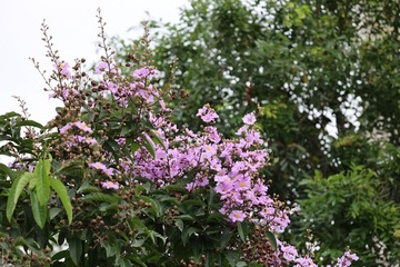 58AEB394-A159-4238-A46E-00D9F1AE4606/L0/001