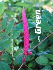 CB03427B-CDE9-4883-B4C0-2185A867DE11/L0/001