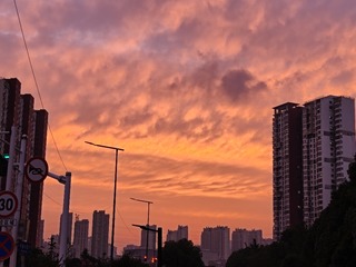 1000014268