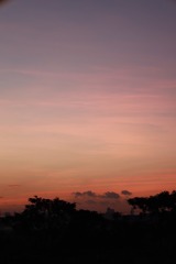 1B5D78CD-FB32-4FE8-BB94-7115A96962BF/L0/001
