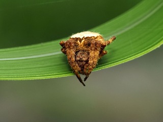 201463