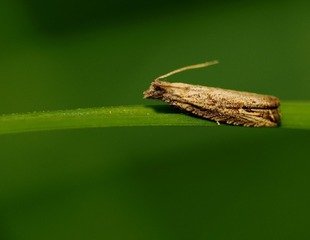 201187