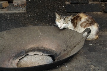 DSC00229_