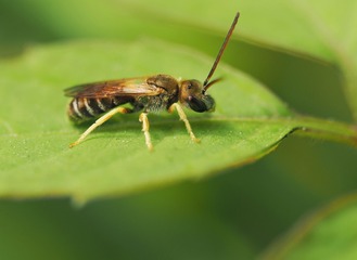 200845