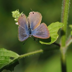 200830