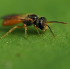 201530