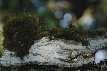 201189