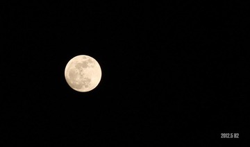 IMG_5984.jpg