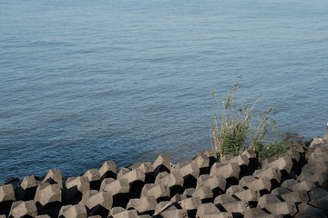 2088C919-2A1C-43C2-913E-9AA37A93D0D0/L0/001