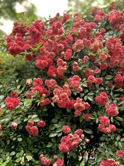 20F7032A-F5E0-4C7A-80C2-33D8D58012EF/L0/001